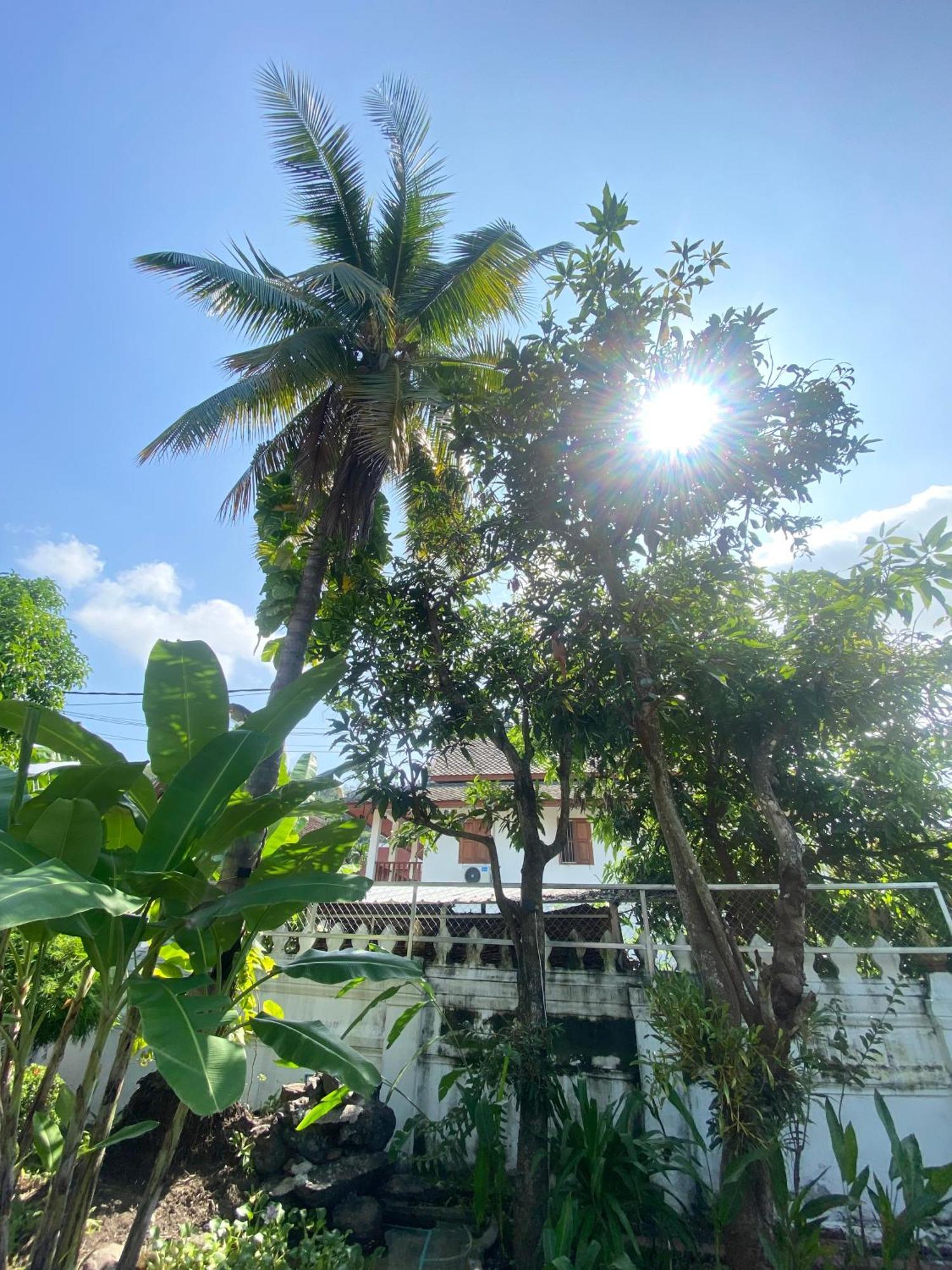Luang Prabang Residence & Travel Eksteriør bilde