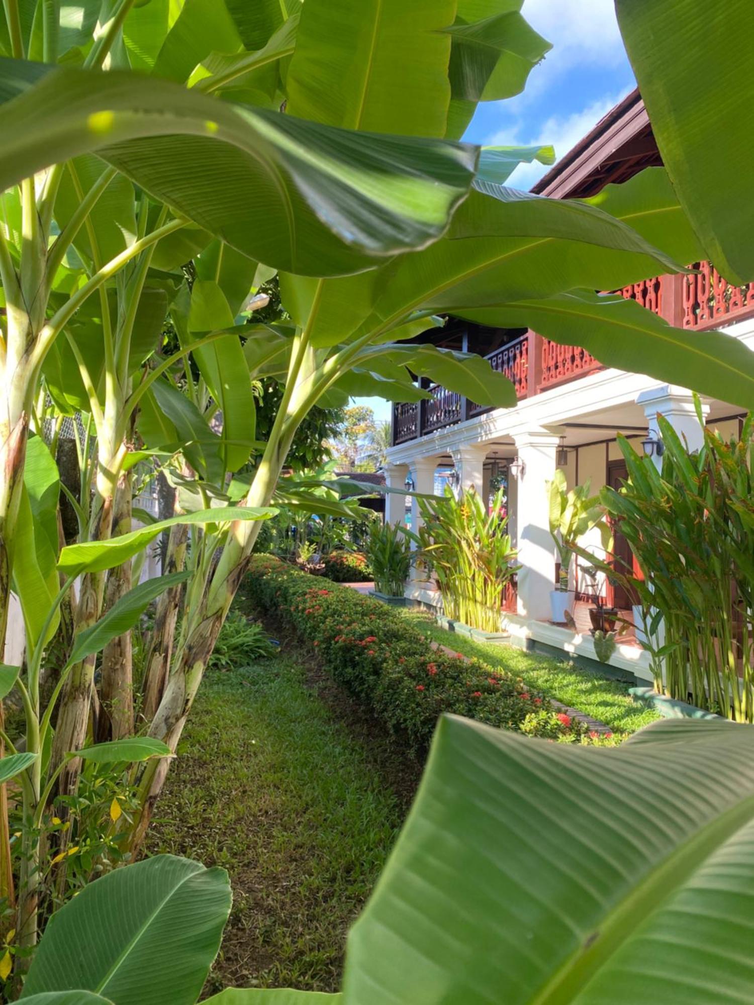 Luang Prabang Residence & Travel Eksteriør bilde