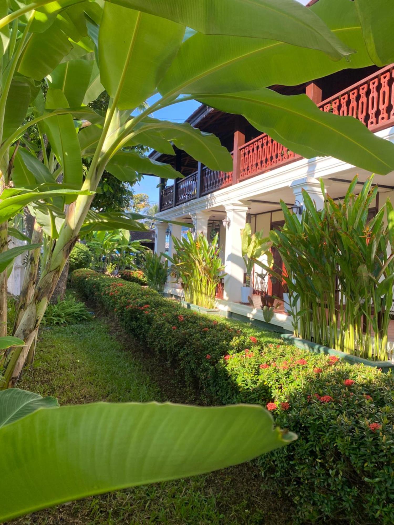 Luang Prabang Residence & Travel Eksteriør bilde